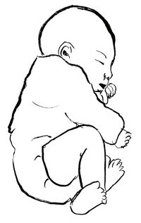 Babytragen ab Geburt – was beim Tragen von Neugeborenen wichtig ist